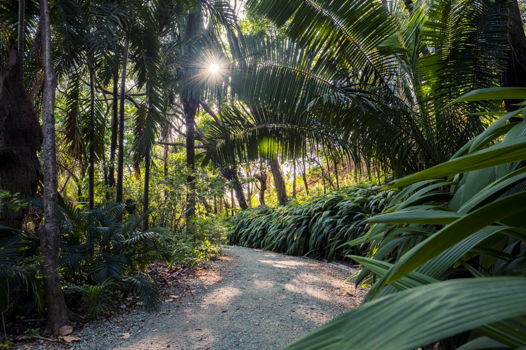 COVID19 PROTOCOLS Blue Spirit Costa Rica